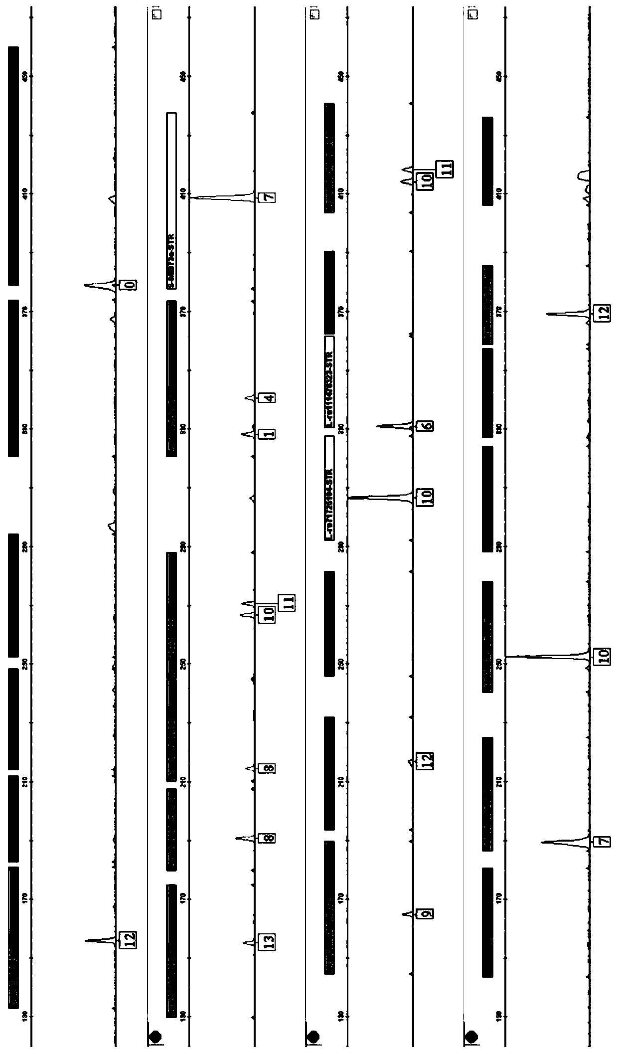 Method and system for obtaining DIP-STR (Deletion/Insertion Polymorphism-Short Tandem Repeat polymorphism) gene locus typing result of DNA (deoxyribonucleic acid) of unknown individual source in mixed spot