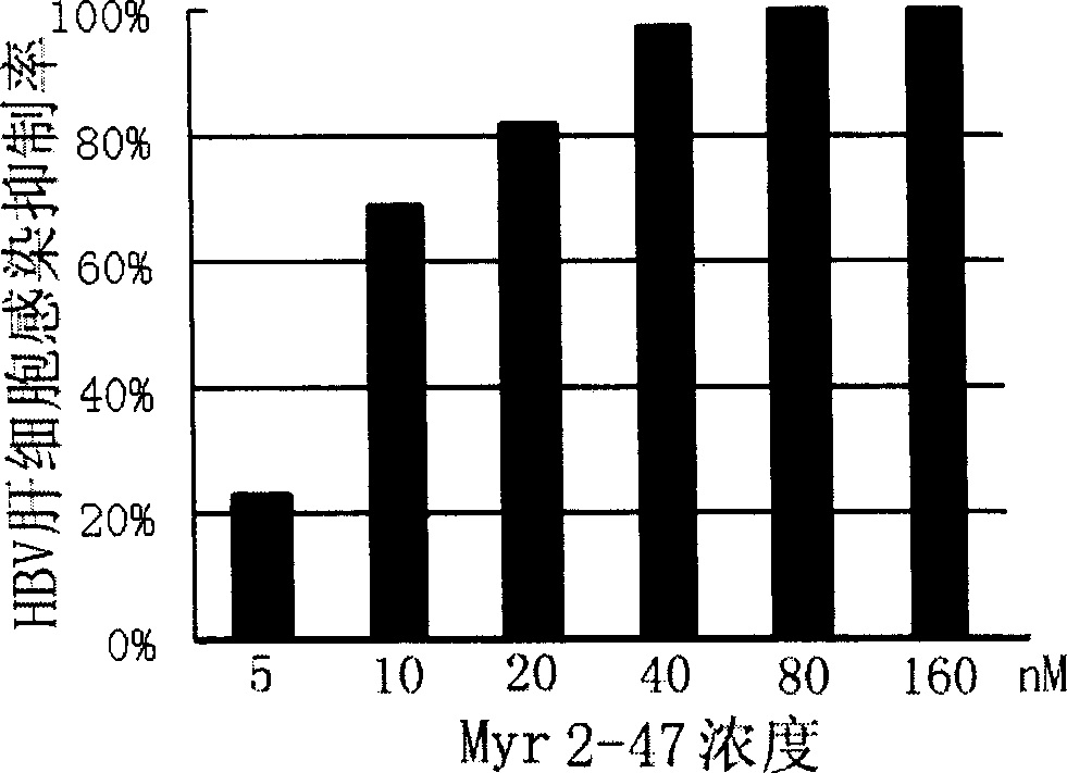 Hepatitis B virus surface L protein related peptide