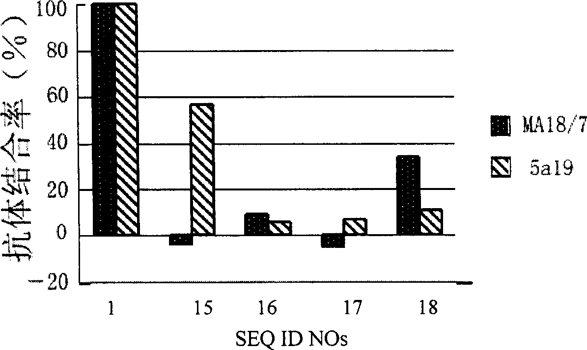 Hepatitis B virus surface L protein related peptide