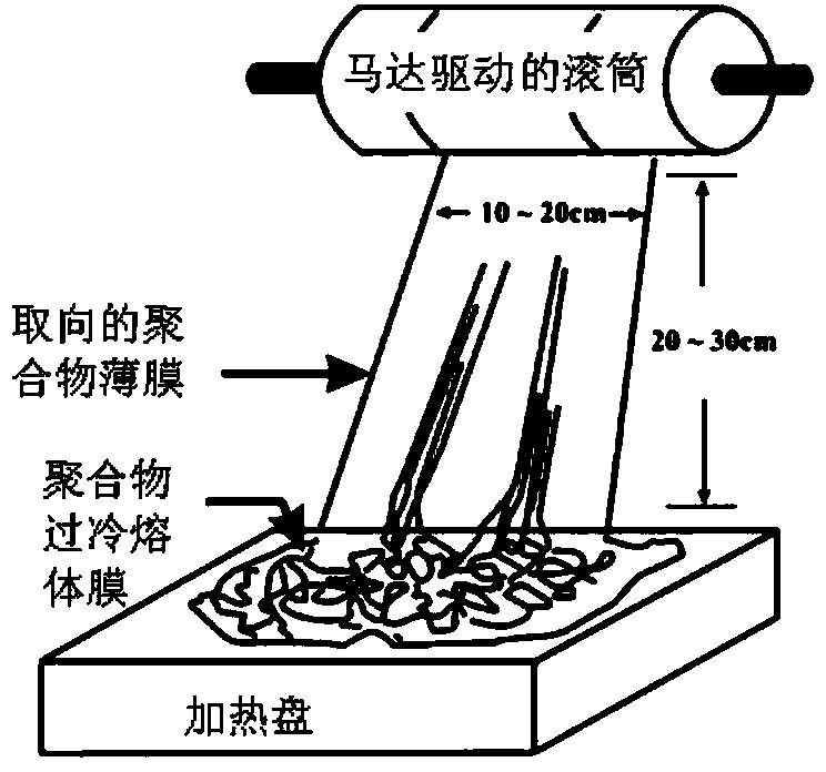 Preparation method of high-orientation conductive polymer film, prepared film and application thereof