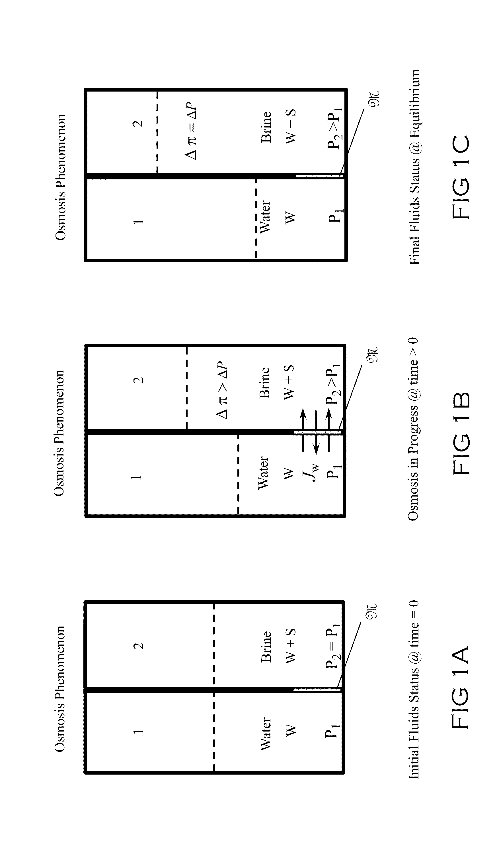 Induced symbiotic osmosis [ISO] for salinity power generation