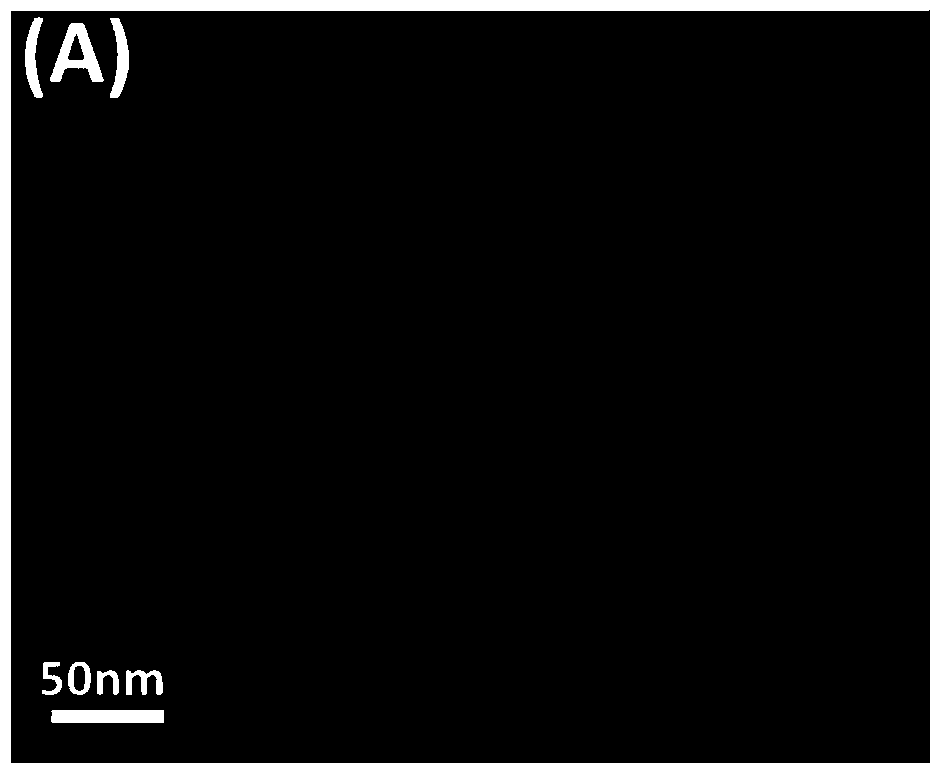 Ti&lt;3+&gt;:TiO2/TiF3 composite semiconductor photocatalyst and preparation method thereof