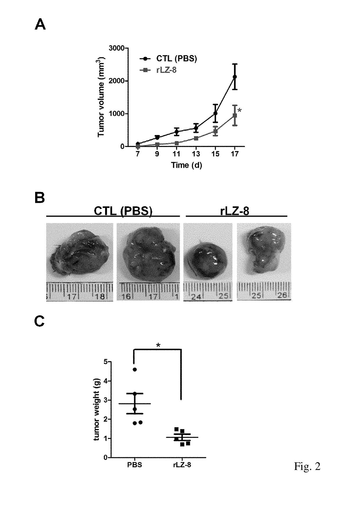 Method for treating a refractory or relapsed lung cancer