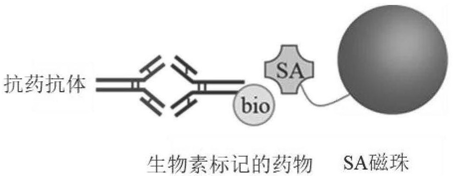 Operation method for improving drug tolerance in drug-resistant antibody analysis