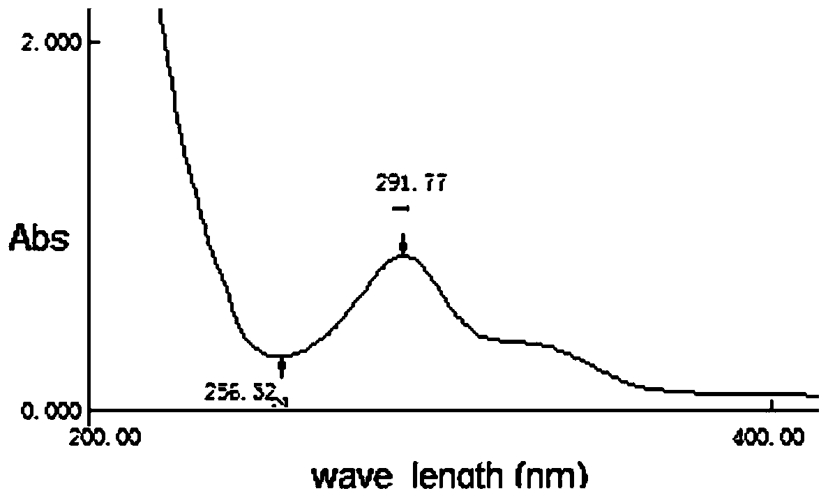 A kind of water-soluble staphylophyllin polymer