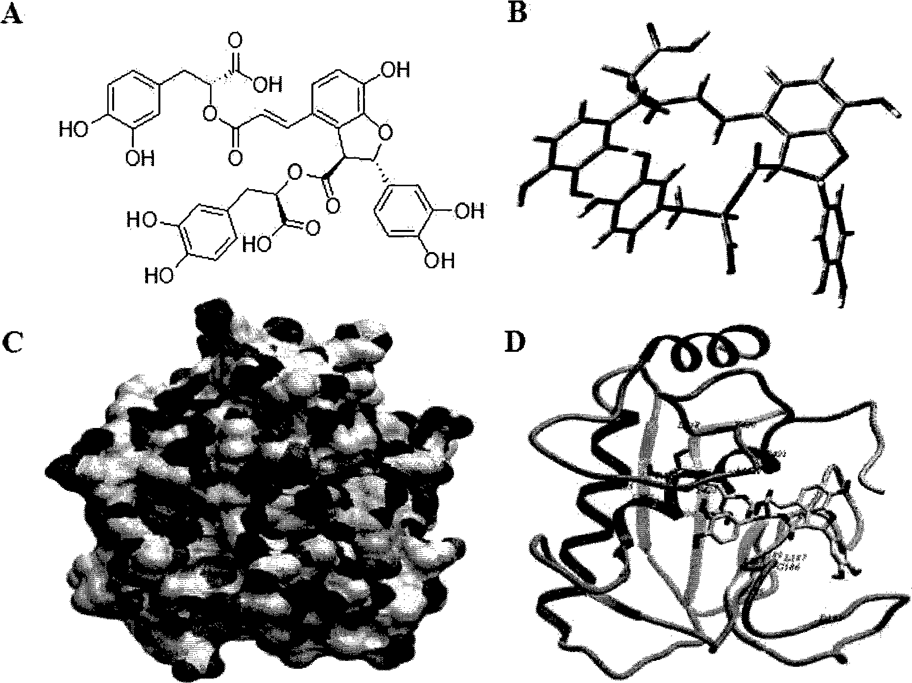 Use of salvianolic acid B