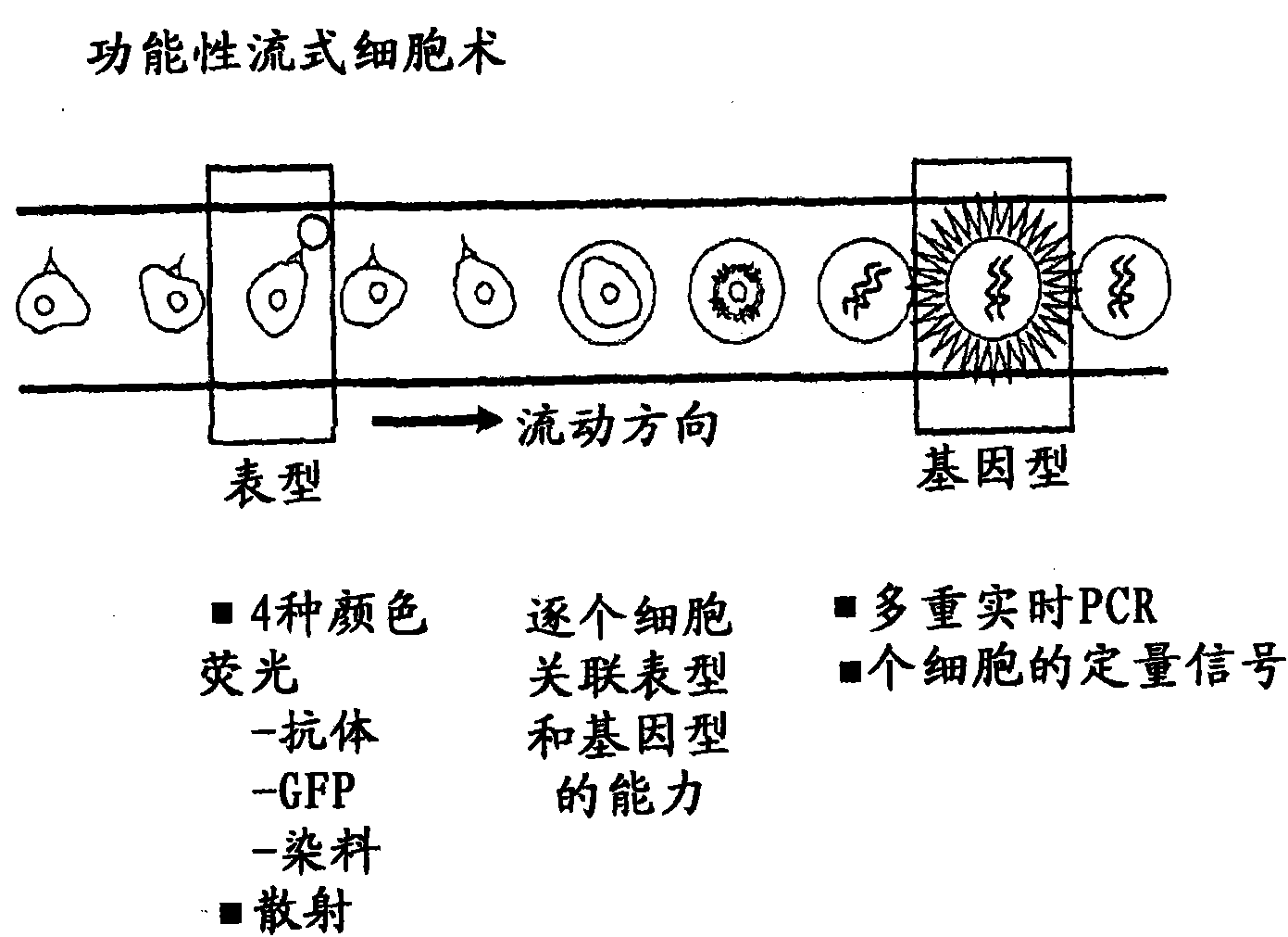 Methods and devices for correlated, multi-parameter single cell measurements and recovery of remnant biological material