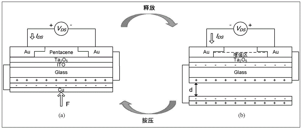 Organic tribotronics transistor and contact electrification gate-controlled light-emitting device