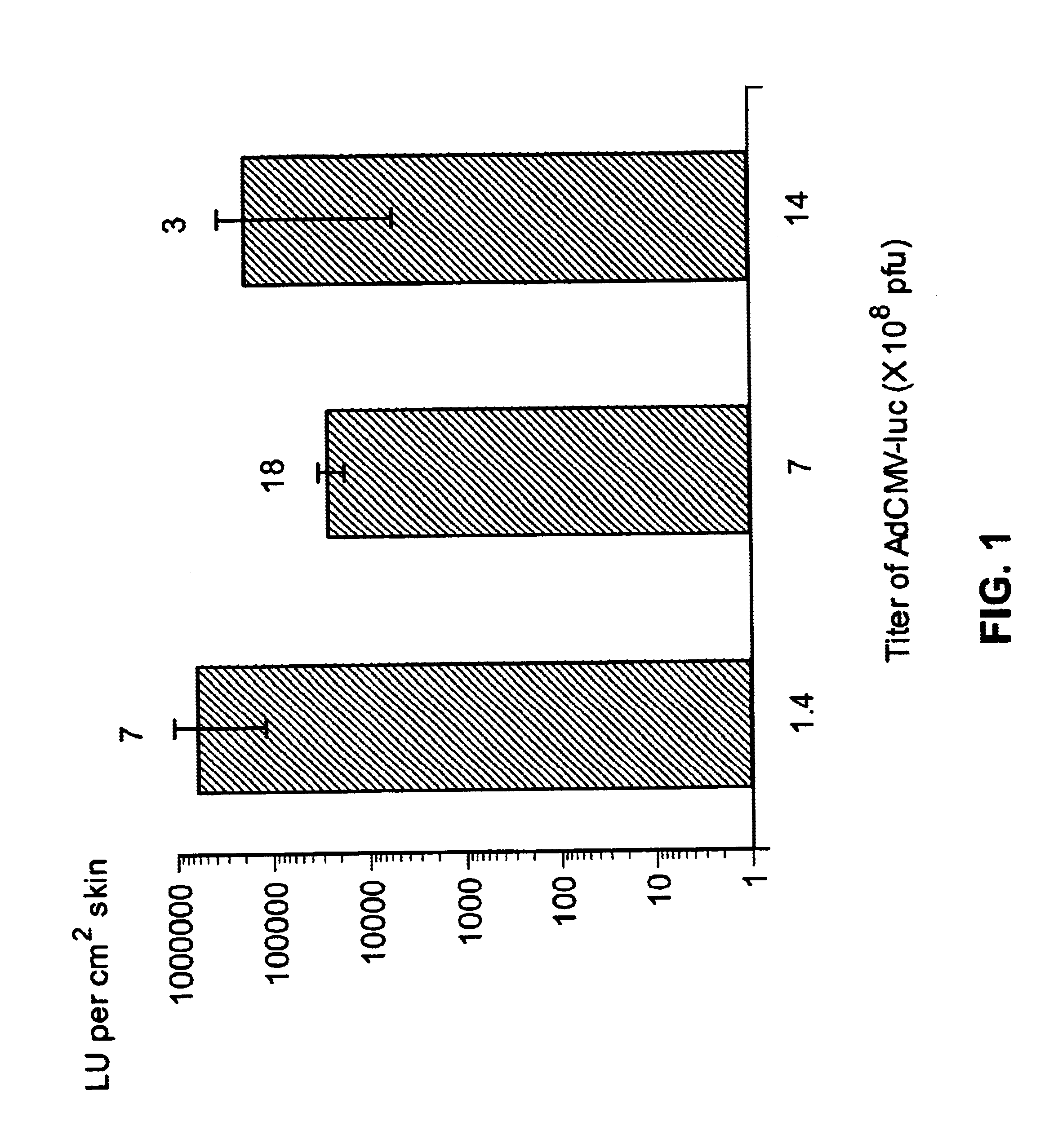 Noninvasive genetic immunization, expression products therefrom, and uses thereof