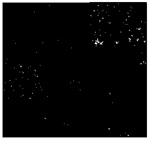 high-resolution image house information rapid supervision and identification method based on BFD-IGA-SVM model