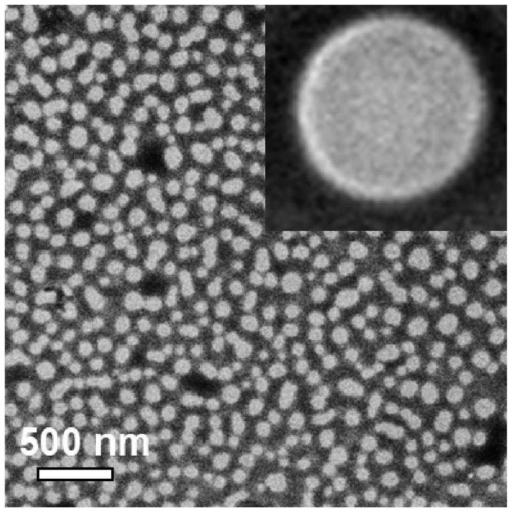 Self-assembled nano-drug as well as preparation method and application thereof