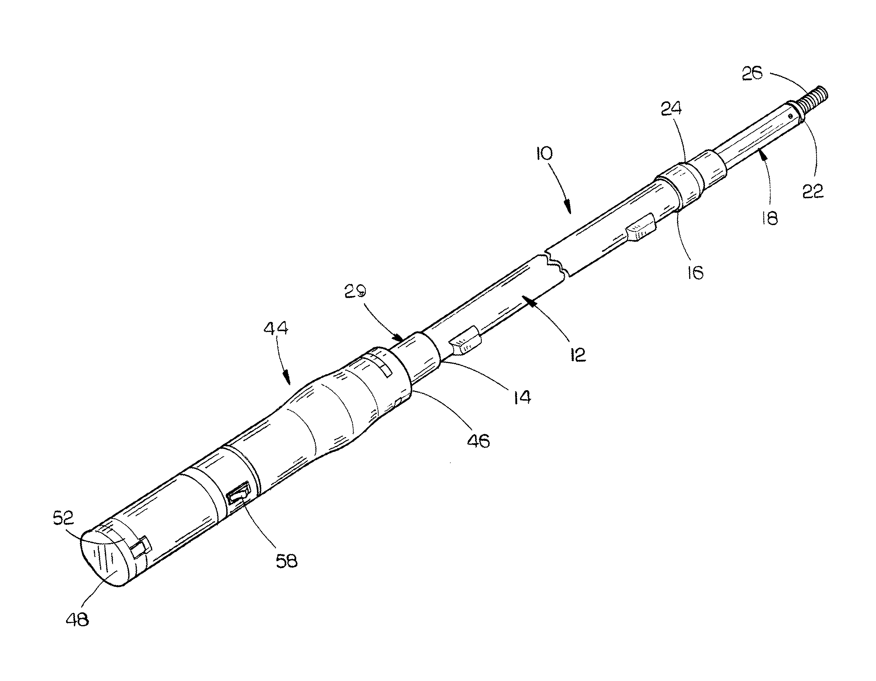 Motorized extension pole