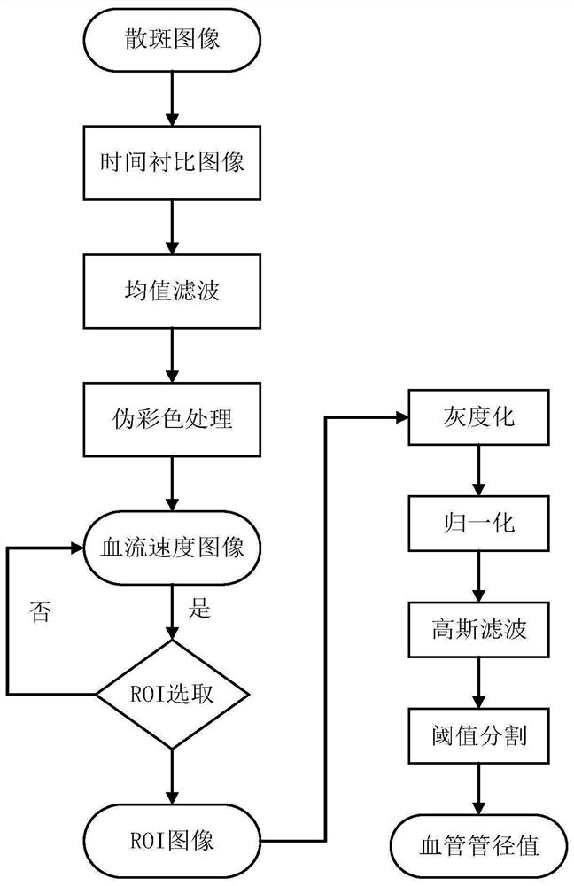 Laser speckle blood flow imaging method and system