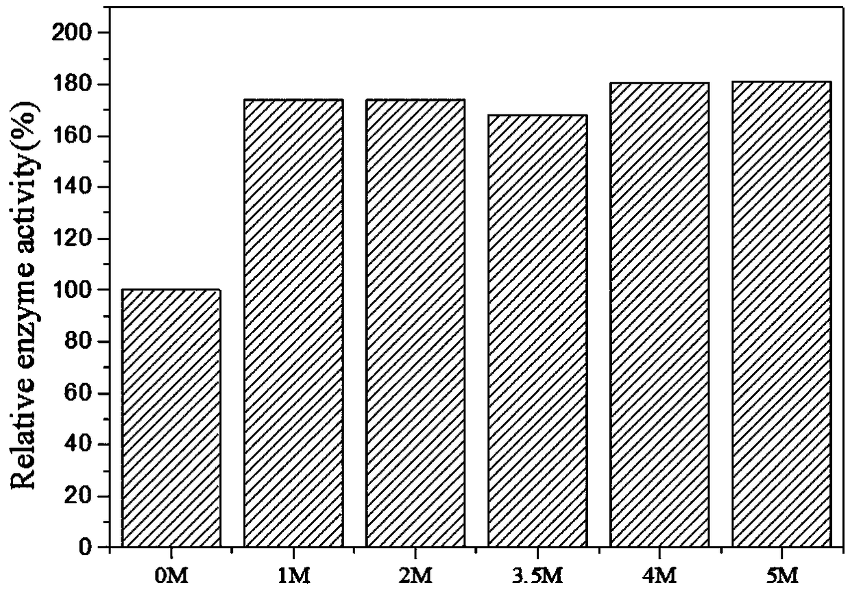 Method for immobilization of phenylalanine dehydrogenase by chemical reduced graphene oxide