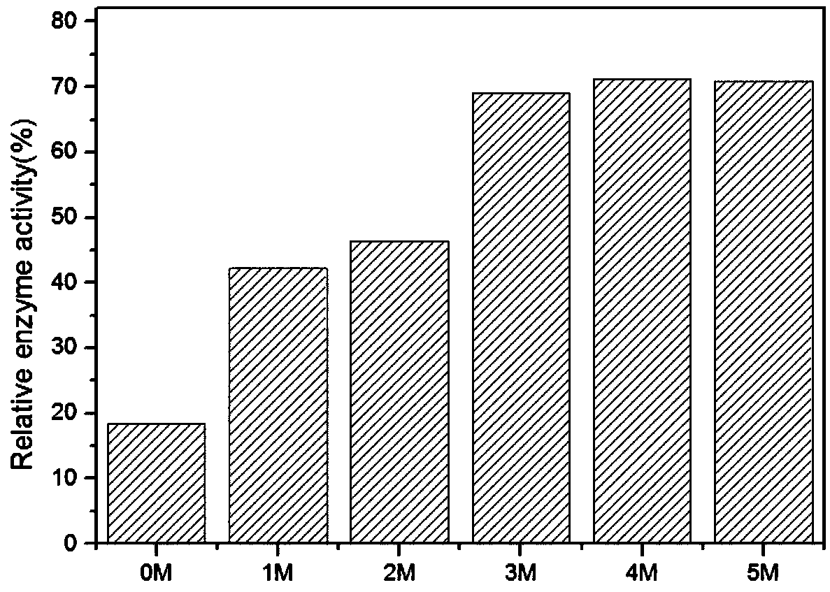 Method for immobilization of phenylalanine dehydrogenase by chemical reduced graphene oxide