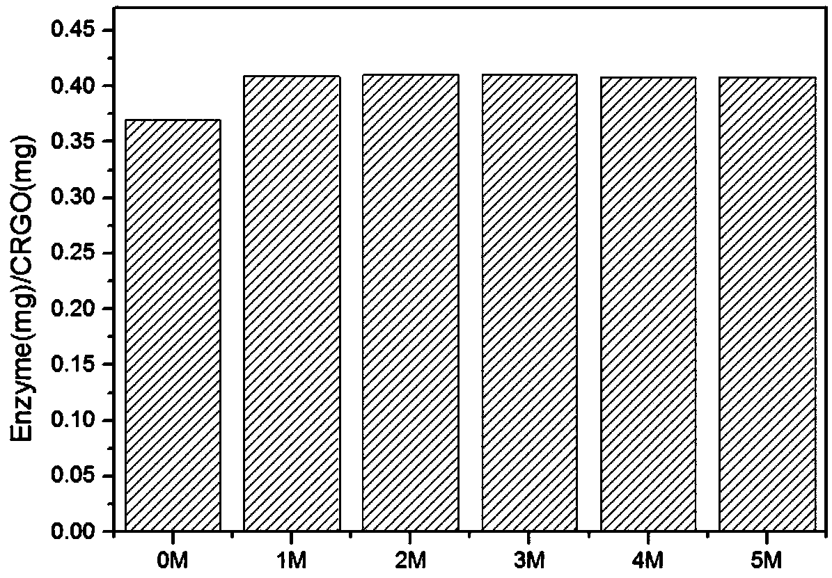 Method for immobilization of phenylalanine dehydrogenase by chemical reduced graphene oxide