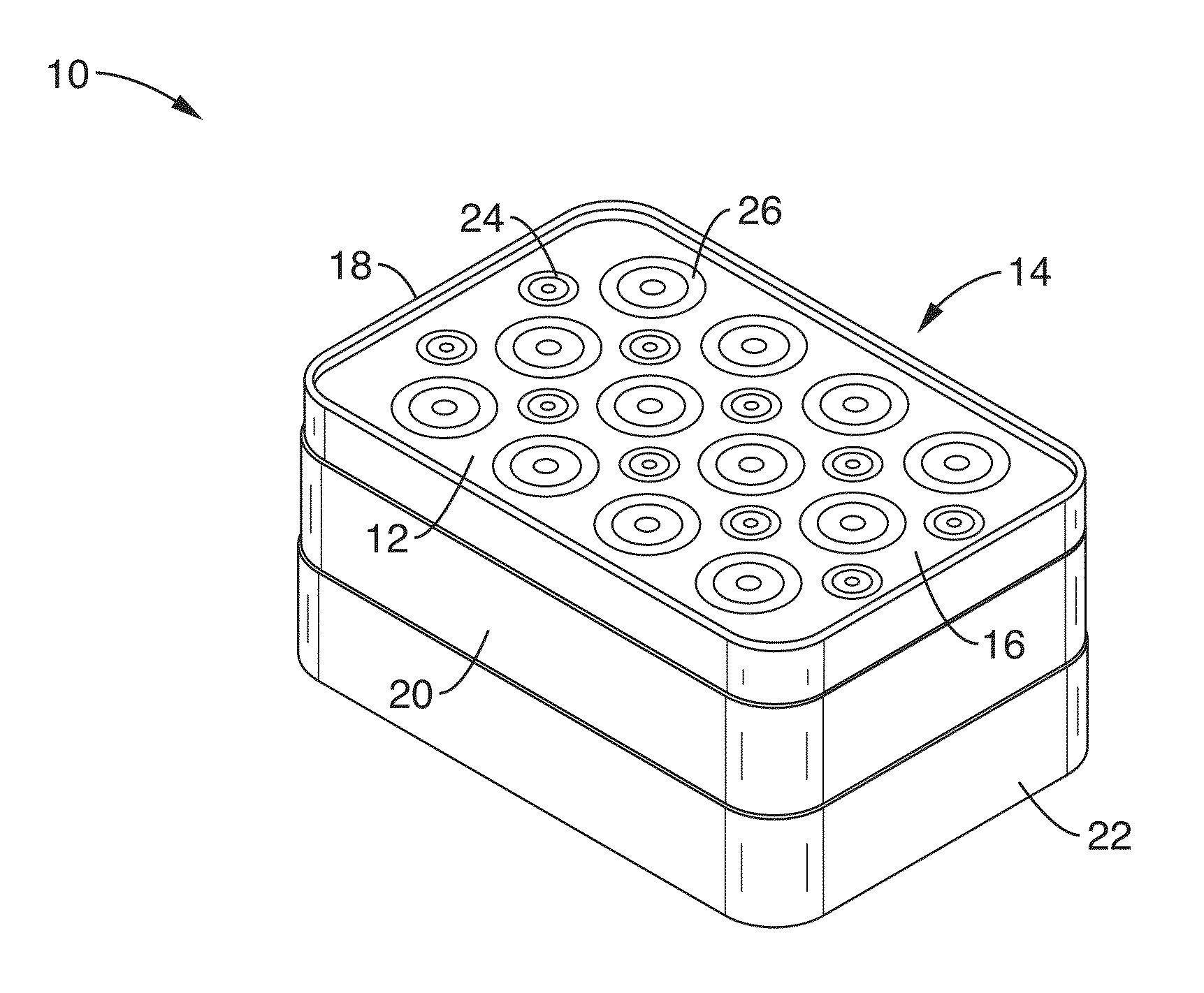 Sem scanner sensing apparatus, system and methodology for early detection of ulcers