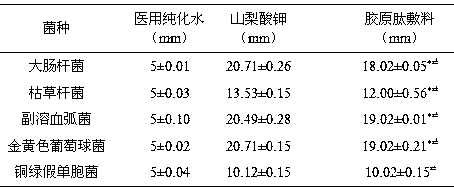 Collagen dressing for promoting wound healing and preparation method of collagen dressing