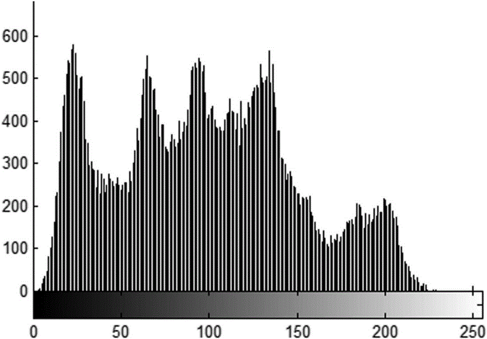 Chaos theory-based digital image parallel encryption method