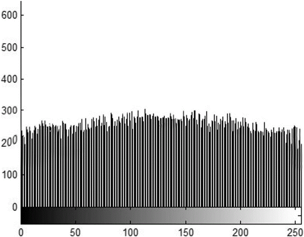 Chaos theory-based digital image parallel encryption method