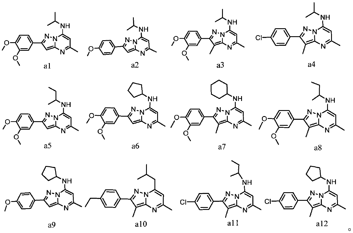 Application of 2-phenylpyrazole [1,5-a] pyrimidine compounds serving as tumor drug resistance reversal agent