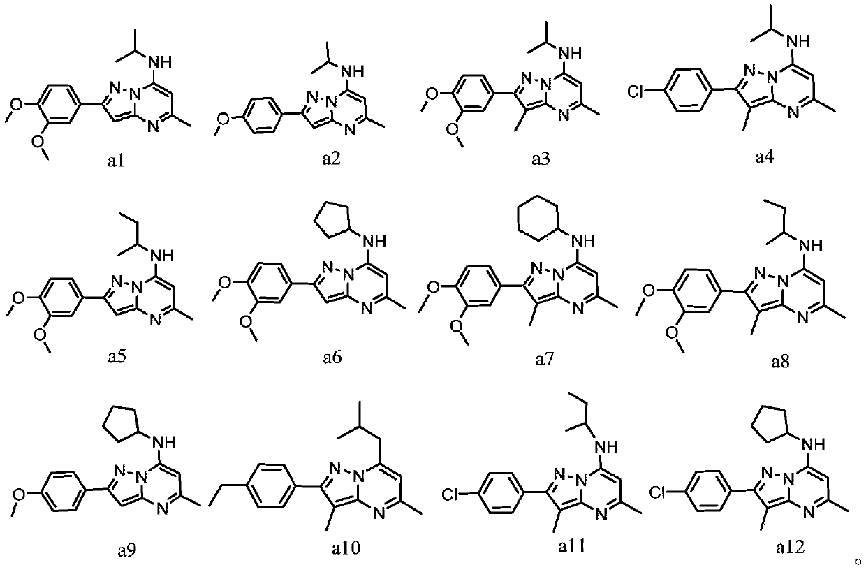 Application of 2-phenylpyrazole [1,5-a] pyrimidine compounds serving as tumor drug resistance reversal agent