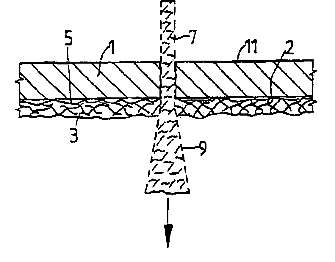 Method of cutting an object and of further processing the cut material, and carrier for holding the object and the cut material