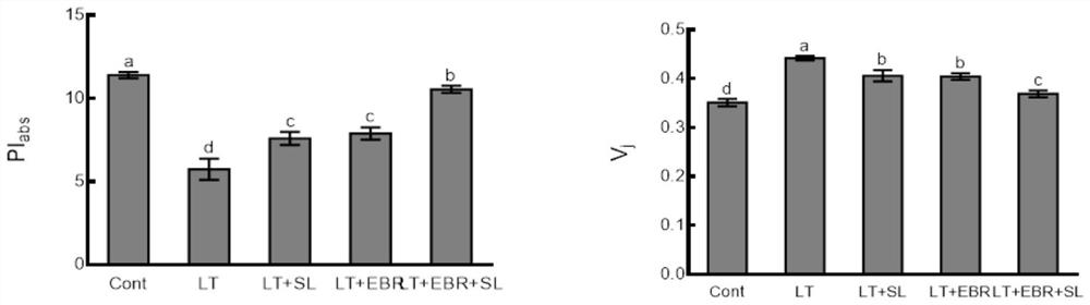 Method for reducing content of H2O2 and MDA in non-heading Chinese cabbages after low-temperature stress