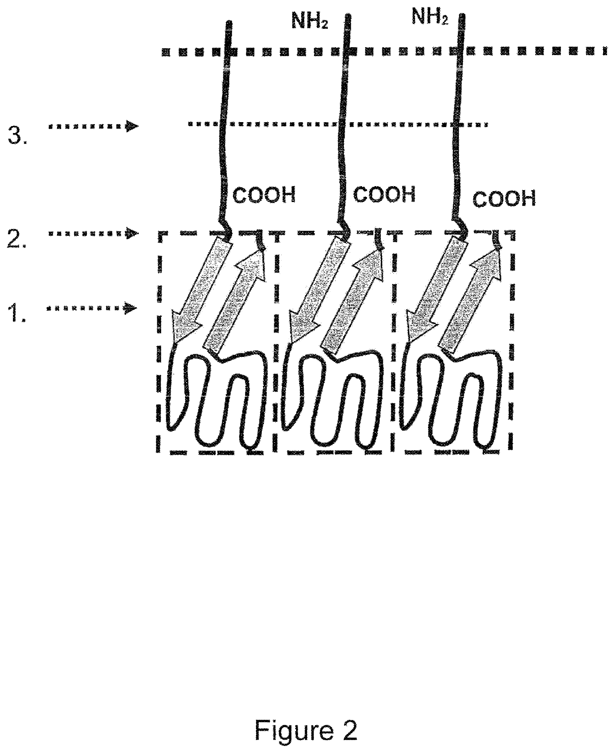 Single-chain glucocorticoid-induced tumor necrosis factor receptor (GITR) agonist proteins