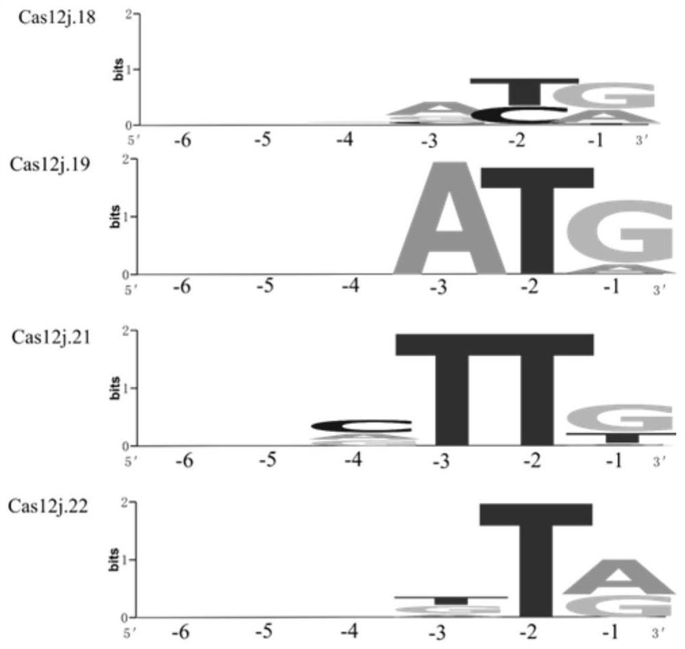 CRISPR-Cas12j enzymes and systems