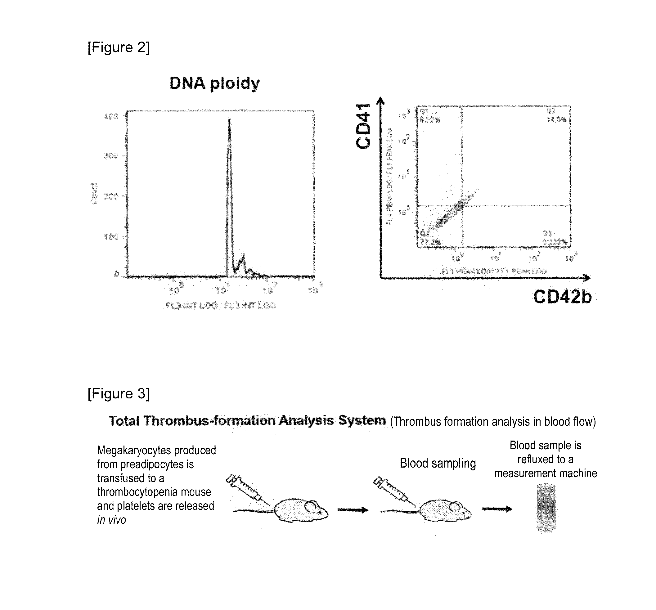 Method for producing megakaryocytes, platelets and/or thrombopoietin using mesenchymal cells