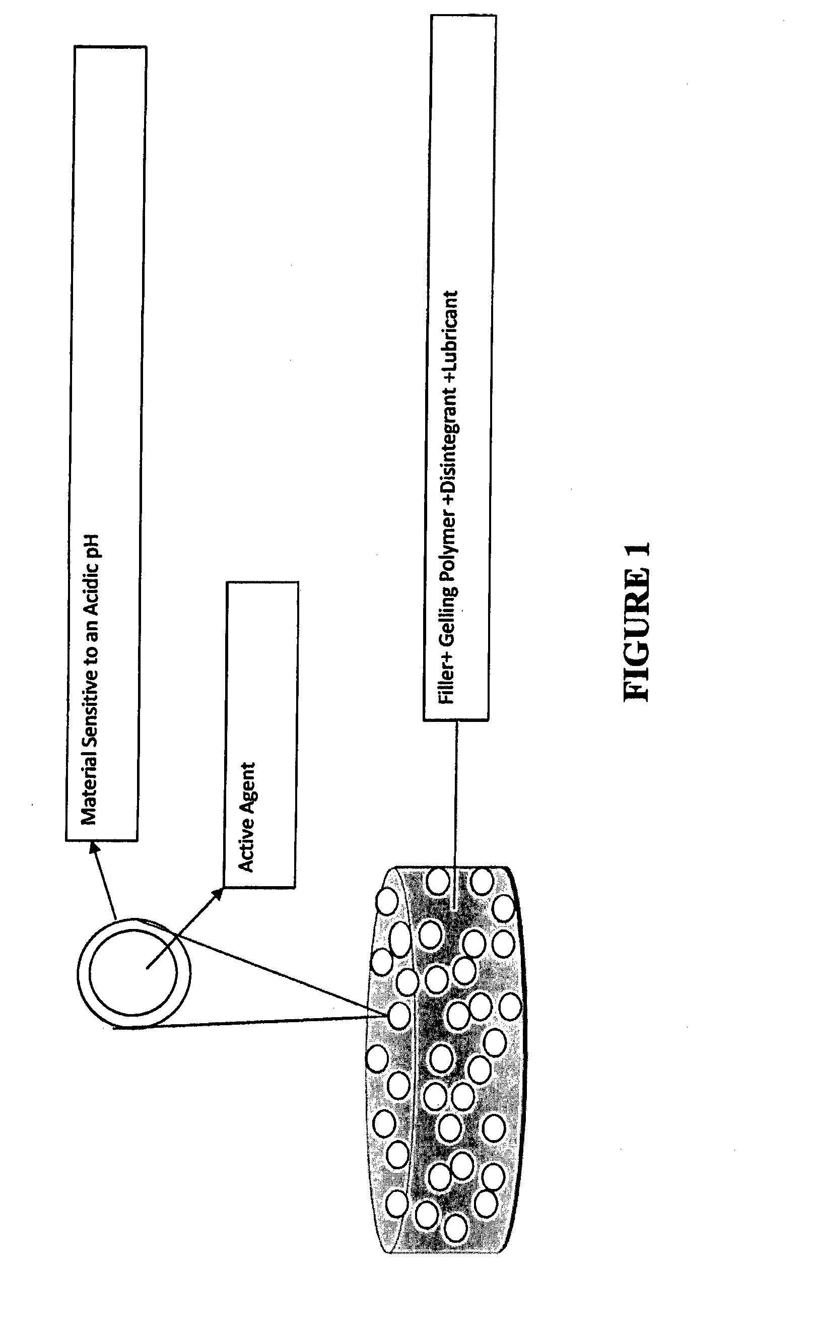 Tamper Resistant Immediate Release Formulations