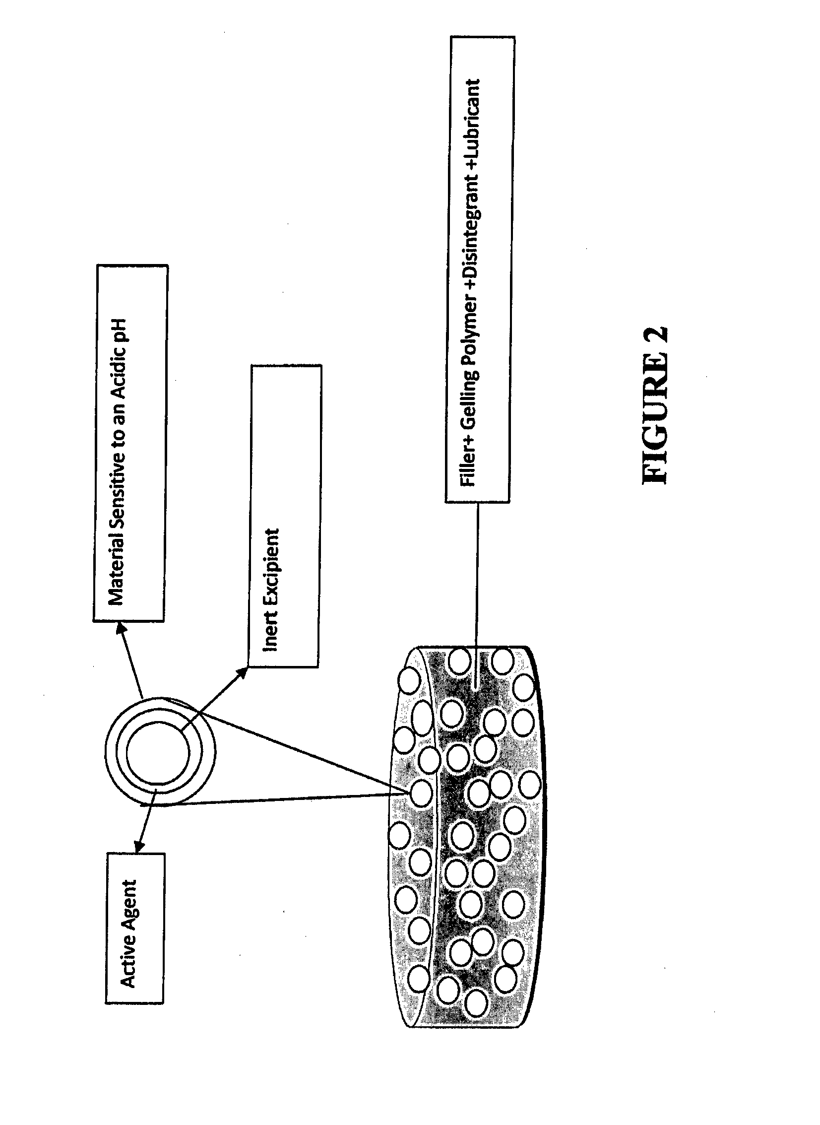 Tamper Resistant Immediate Release Formulations