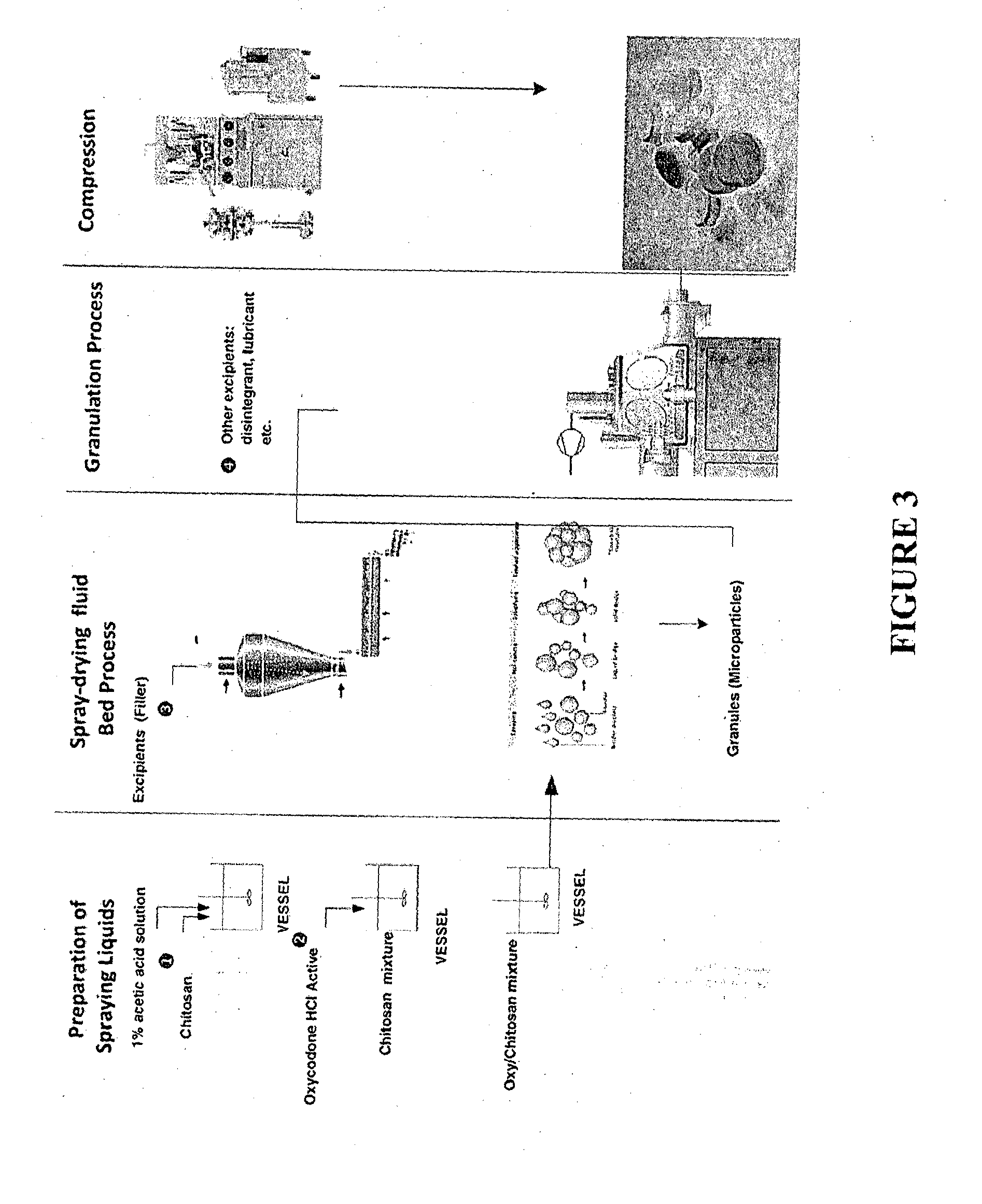 Tamper Resistant Immediate Release Formulations