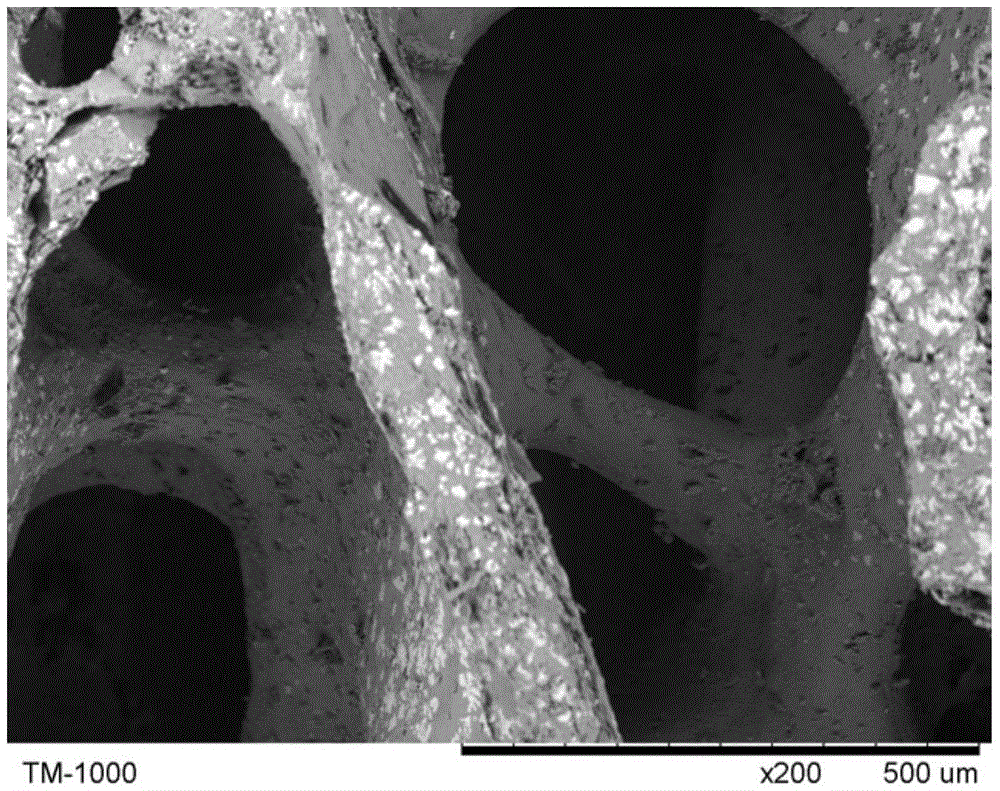 Magnesium-containing multiphase porous bioceramic