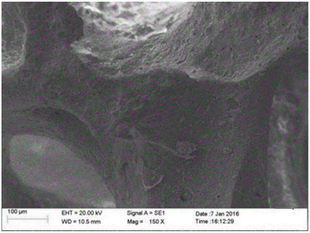 Magnesium-containing multiphase porous bioceramic