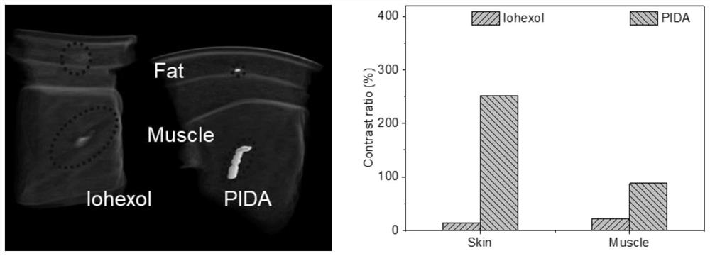 Conjugated carbon-iodine polymer and preparation thereof, and application of conjugated carbon-iodine polymer in preparation of positioning marker