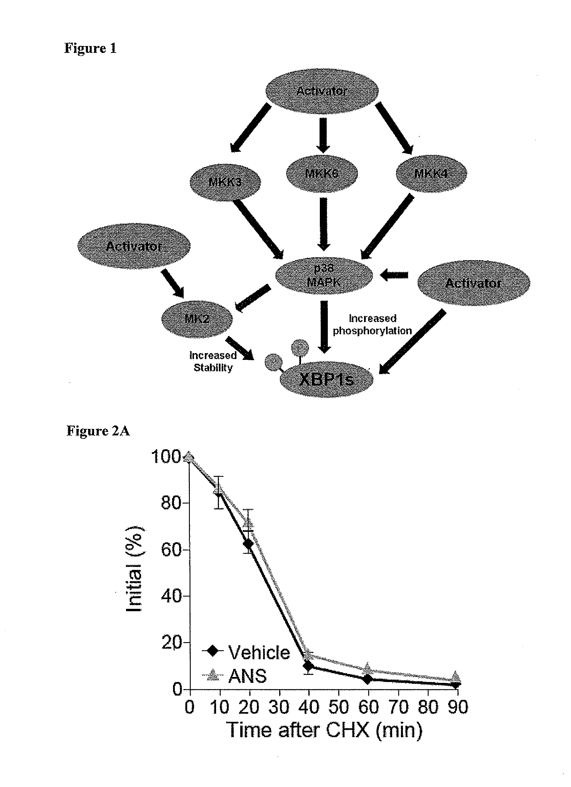 Methods and Compositions for Promoting Glucose Homeostasis