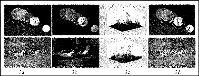 Method for adaptively displaying image by taking visual transfer mechanism as guide