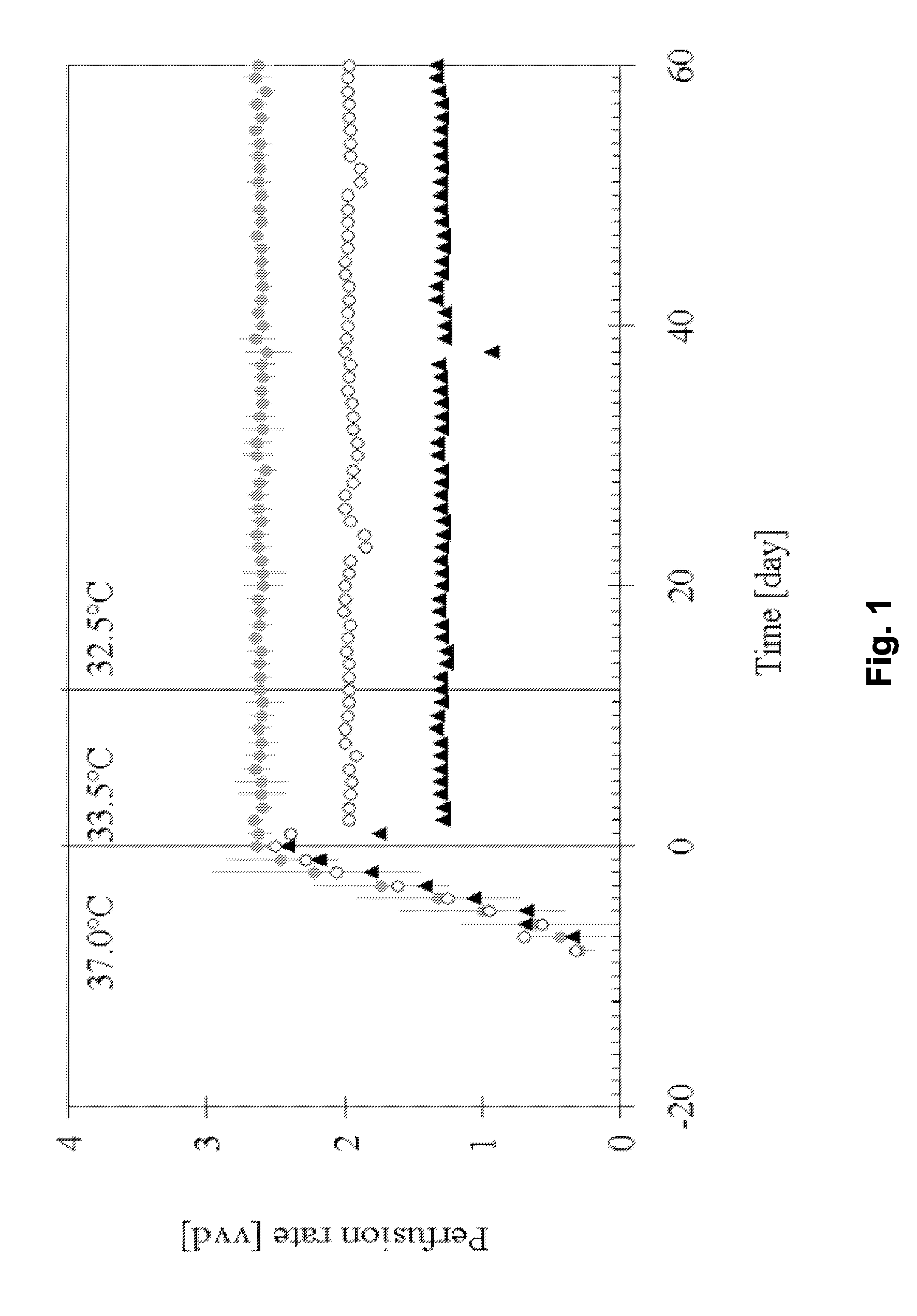 Production of Recombinant Il-18 Binding Protein