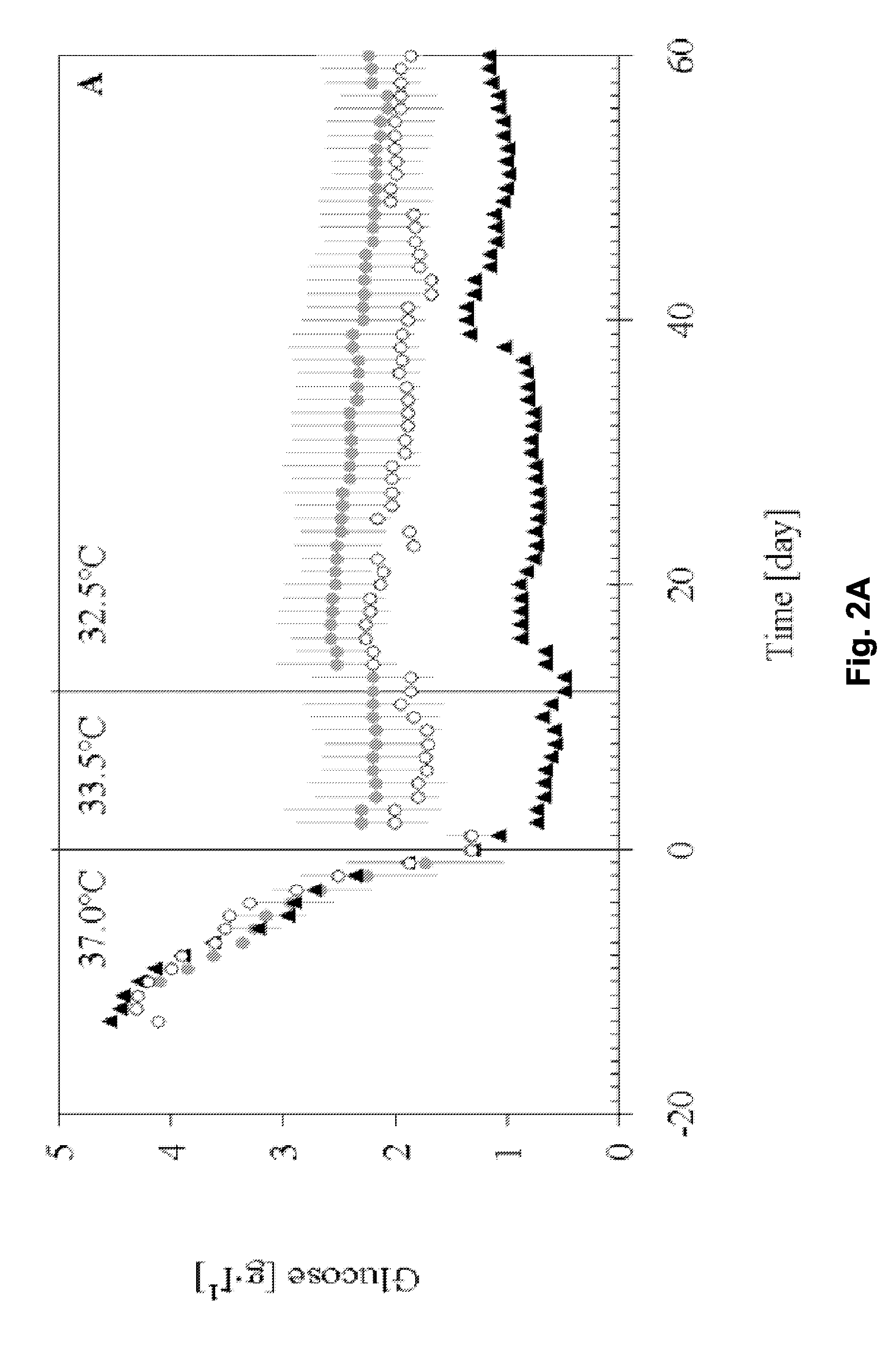 Production of Recombinant Il-18 Binding Protein