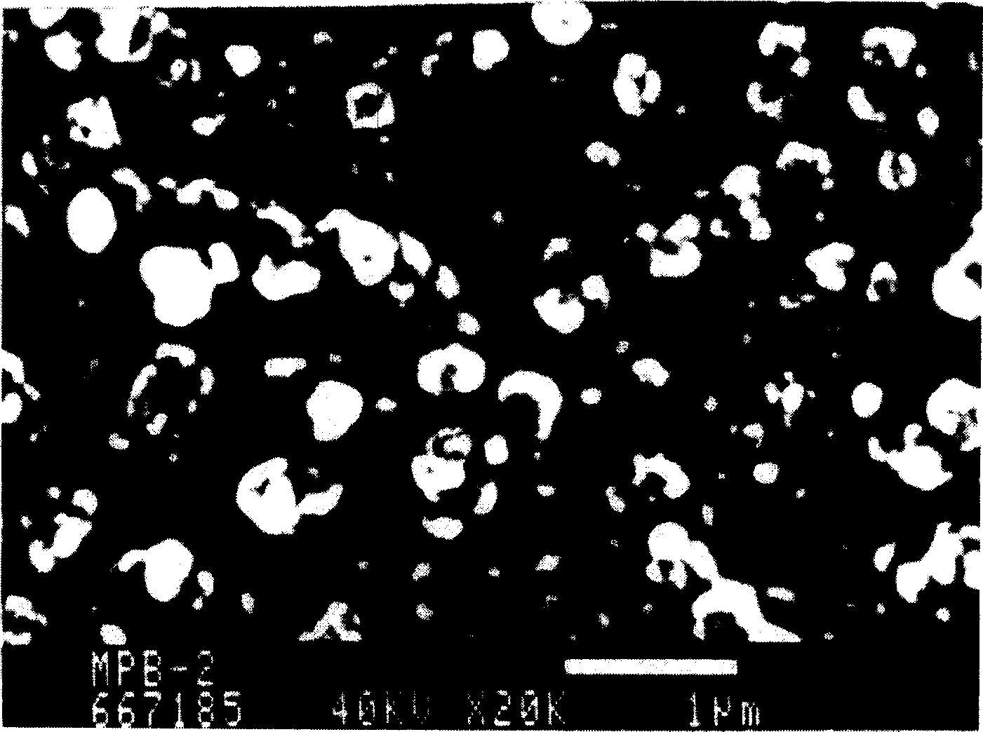 Beta zeolite granule possessing multiple grade pore passage and its preparation method