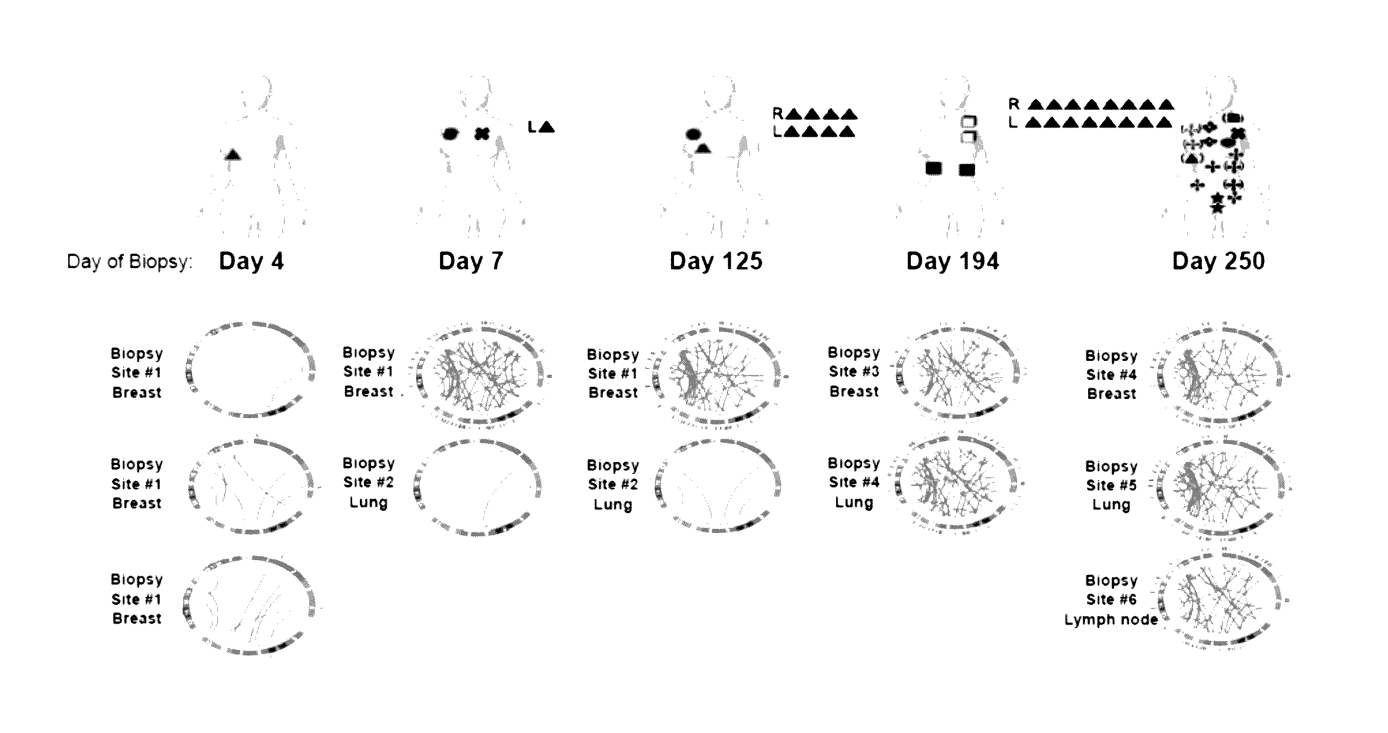 Iterative Discovery Of Neoepitopes And Adaptive Immunotherapy And Methods Therefor