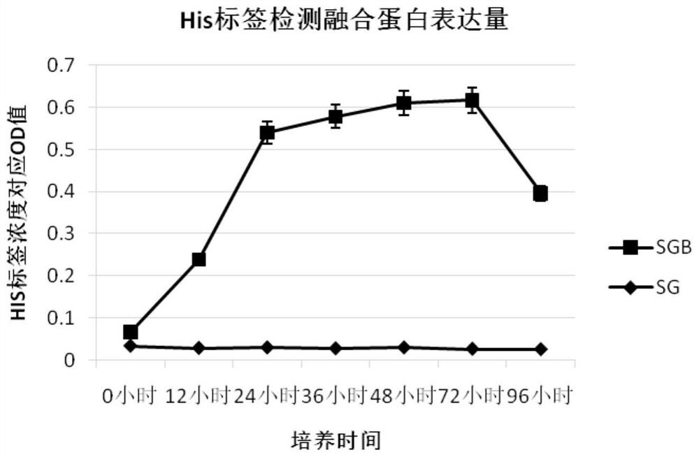 Preparation and application of recombinant yeast preparation fused with bovine antimicrobial peptide fbap