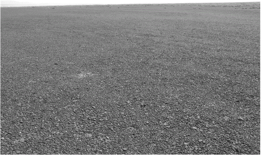 Method for cultivating seedlings of hard-wood cutting of sea buckthorn in high and cold arid region in winter