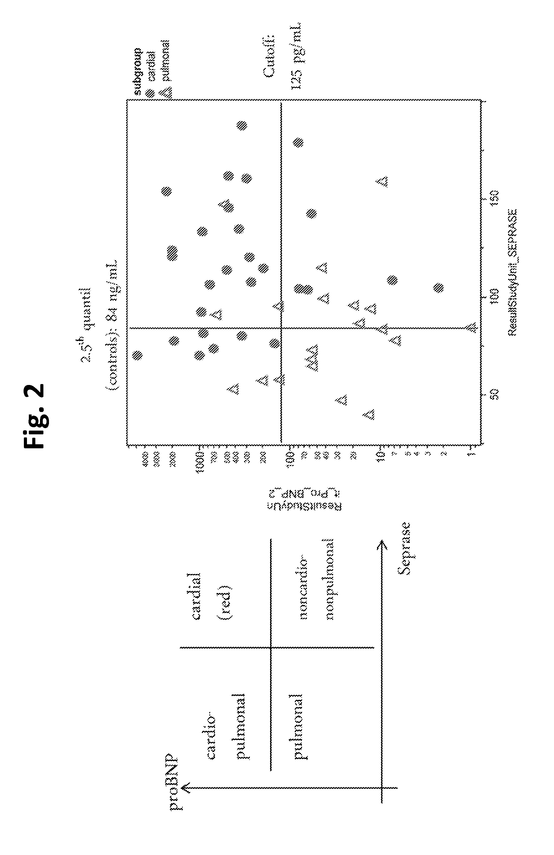 Use of seprase for differential diagnosis of acute dyspnea