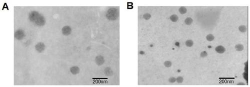 A kind of adjuvant-free single-dose hbsag nanogel vaccine and preparation method thereof