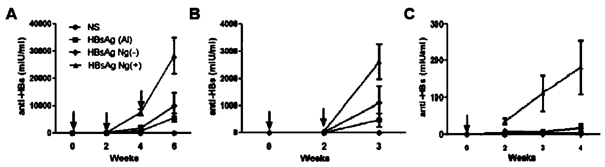 A kind of adjuvant-free single-dose hbsag nanogel vaccine and preparation method thereof