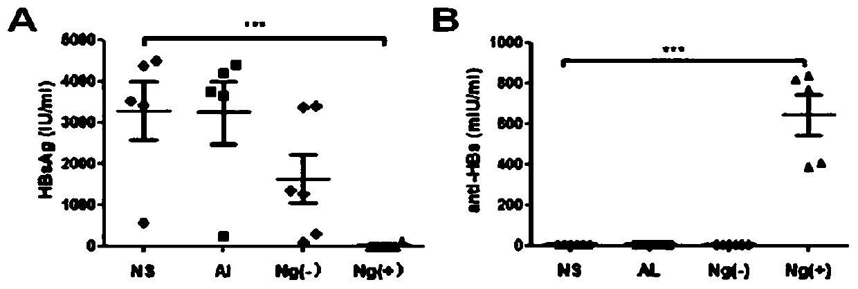 A kind of adjuvant-free single-dose hbsag nanogel vaccine and preparation method thereof