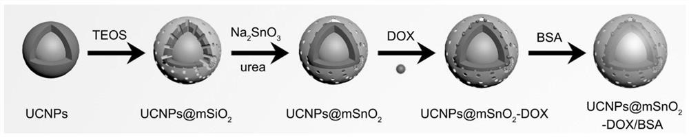 Preparation method of up-conversion mesoporous tin dioxide diagnosis and treatment nanocapsule for near-infrared light response